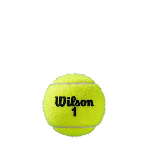 117303-wilson-roland-garros-all-ct-4ball-2pk-tennis-ball-unisex-adults-1.jpg
