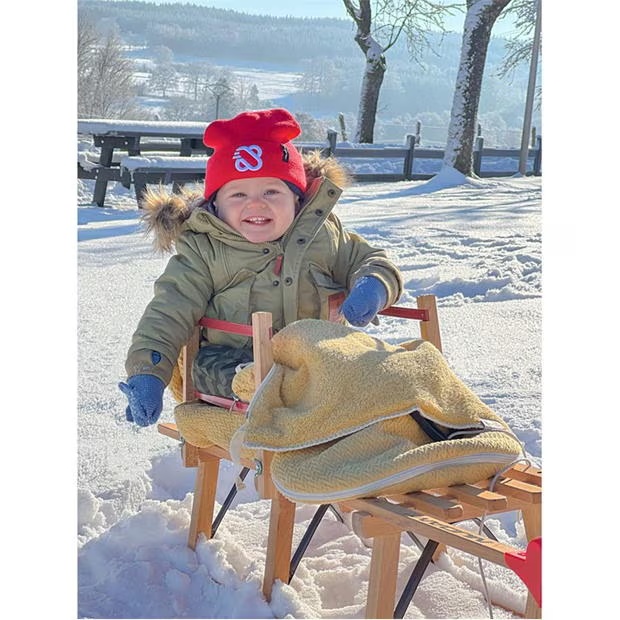 146091-nijdam-backrest-for-wooden-sledge-1.jpg