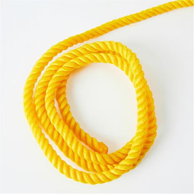 Gray Nicolls Skipping Rope 99
