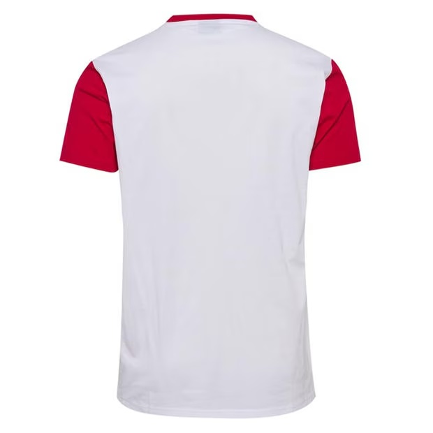 165627-hummel-denmark-fan-t-shirt-2024-adults-1.jpg