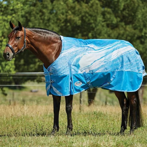 Weatherbeeta Plus Dynamic II Standard Neck Medium Turnout Horse Rug