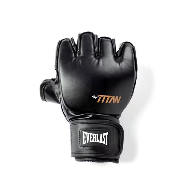 Everlast Titan MMA Training Gloves