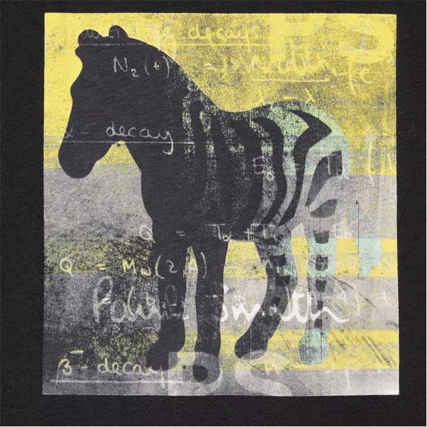 179871-ps-paul-smith-zebra-square-graphic-t-shirt-1.jpg