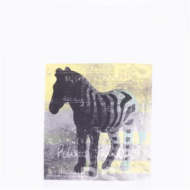 179871-ps-paul-smith-zebra-square-graphic-t-shirt-1.jpg