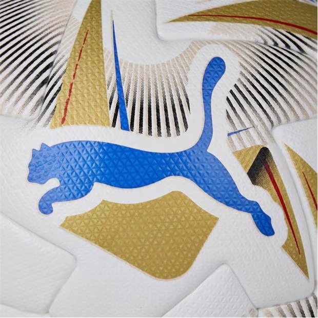 190227-puma-cumbre-conmebol-copa-america-1.jpg