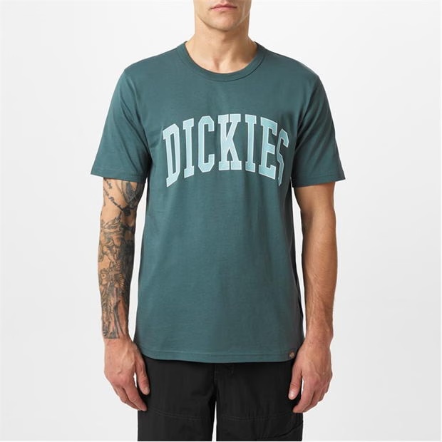 Dickies Aitkin T-shirt
