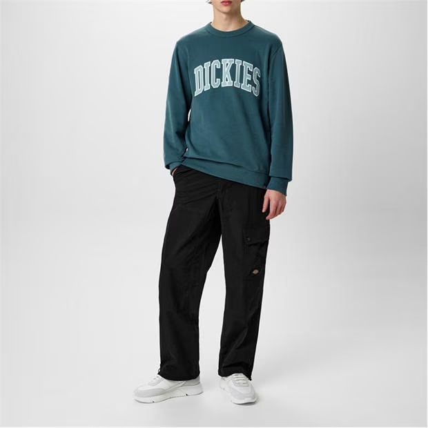 196725-dickies-aitkin-crewneck-sweatshirt-1.jpg