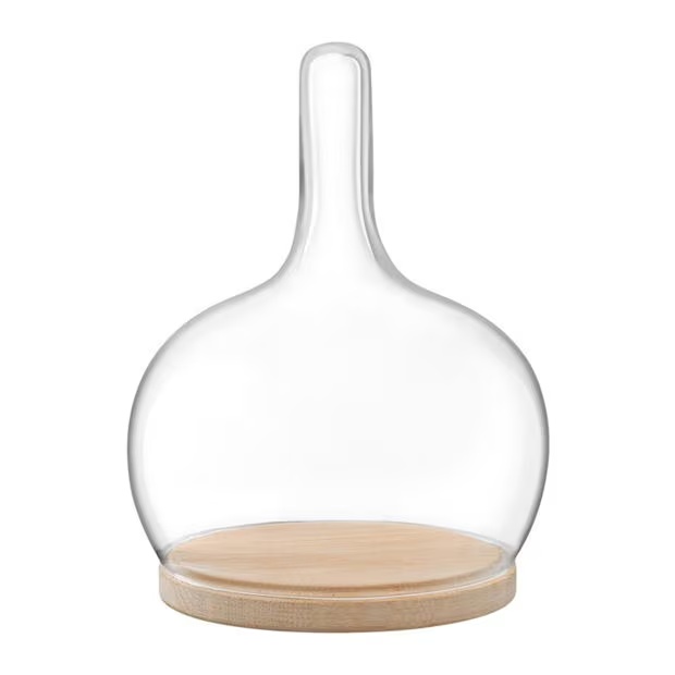 LSA Cloche Dome and Oak Base
