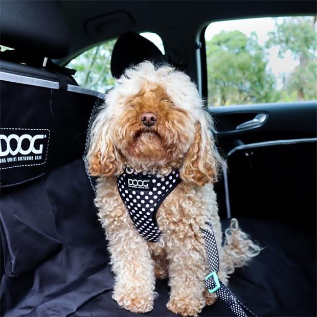DOOG Car Cover
