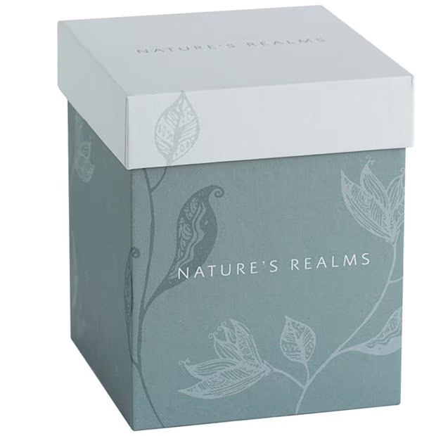 Natures Realms 1505 - Robin