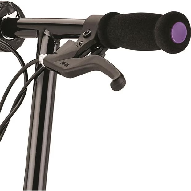 213906-razor-e100-electric-scooter-purple-1.jpg