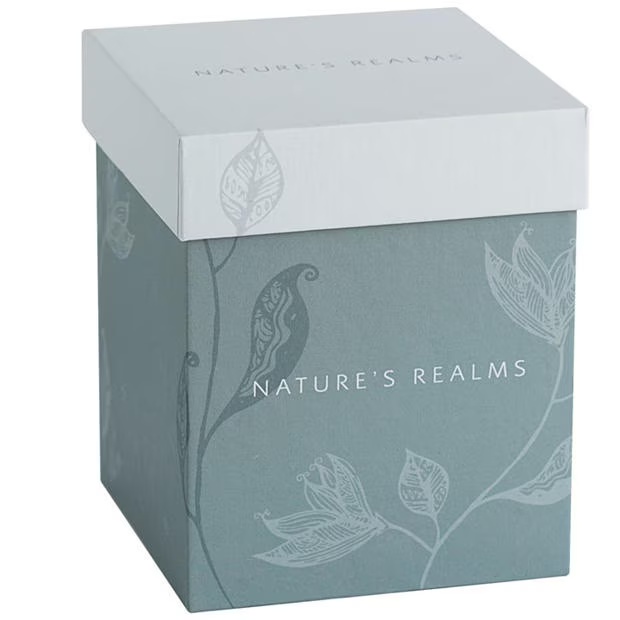 Natures Realms 1507 - Kingfisher