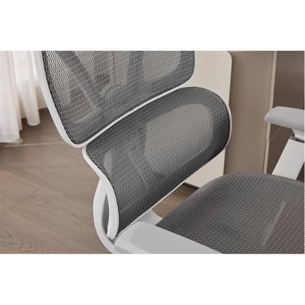 216571-shankar-elite-mesh-office-chair-1.jpg