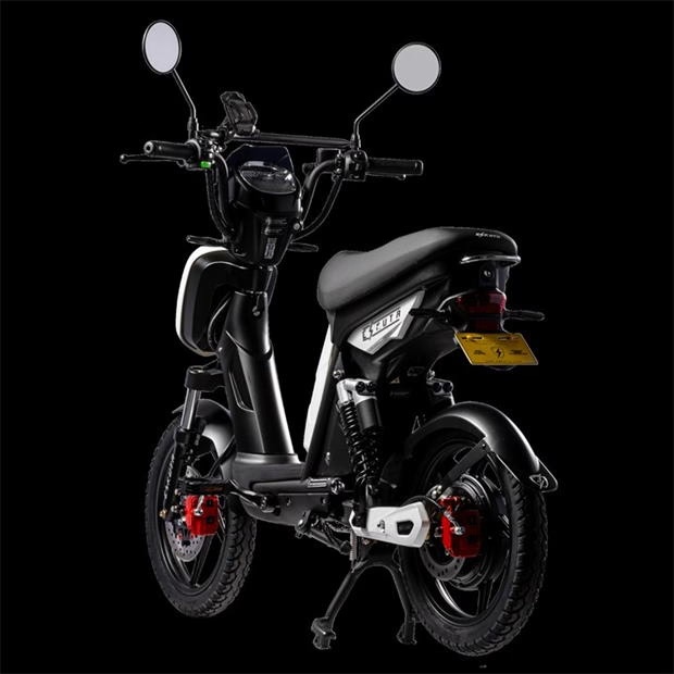 Eskuta SX-250 Explorer Electric Hybrid Bike