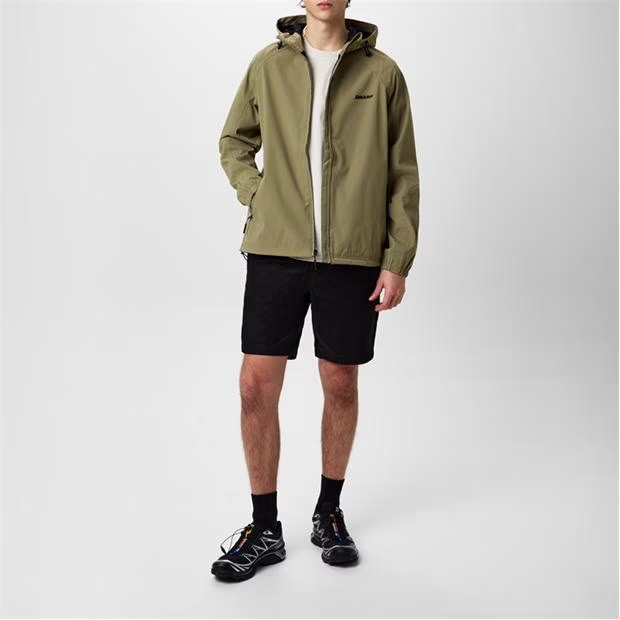 232952-dickies-cobden-shorts-1.jpg