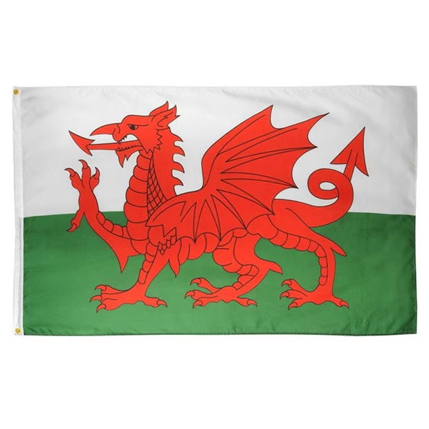 233399-team-flag-1.jpg