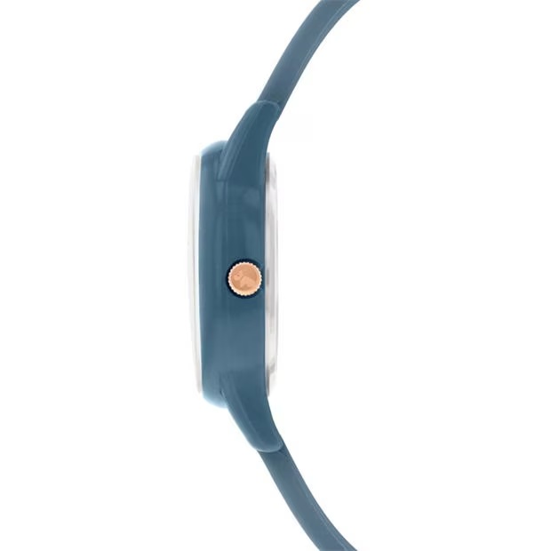 234533-radley-sil-strp-wtch-ld99-1.jpg