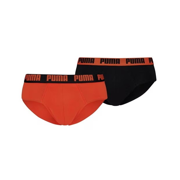 Puma Evrydy Brief 2P Sn99