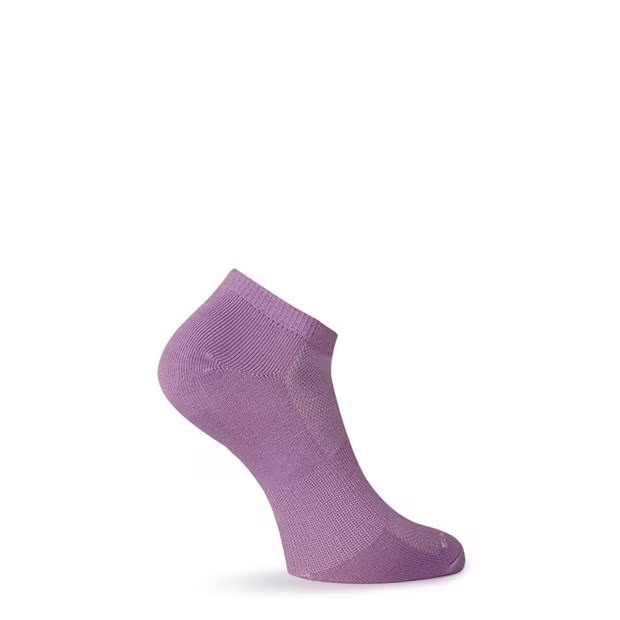 238220-skechers-3-pack-low-socks-womens-1.jpg