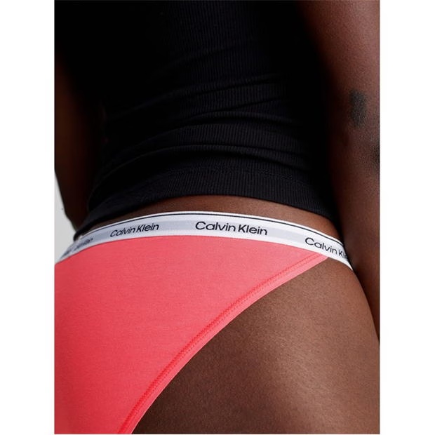 240096-calvin-klein-bikini-1.jpg