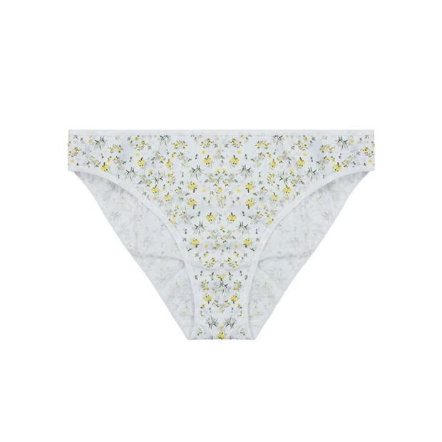 240577-miso-5pk-mini-breifs-ld-1.jpg