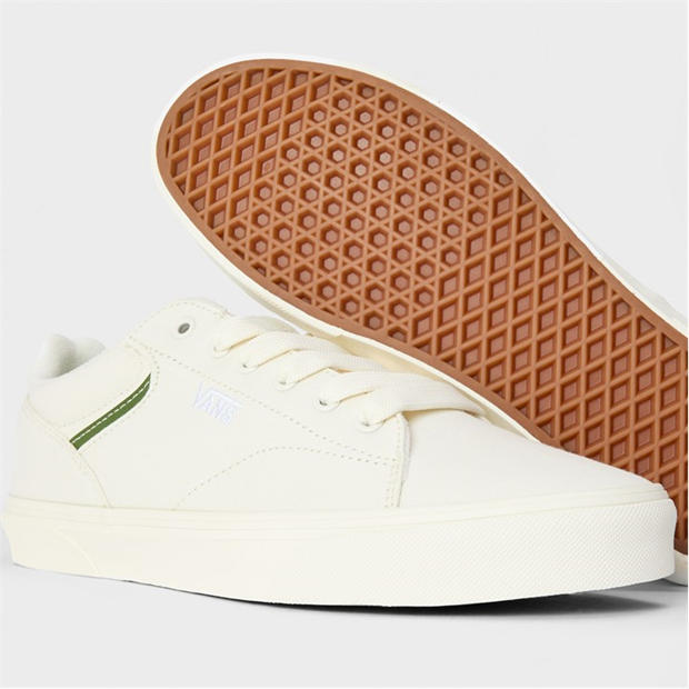 242798-vans-seldn-sn99-1.jpg