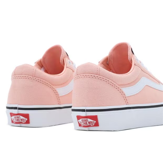 243608-vans-ward-ladies-1.jpg