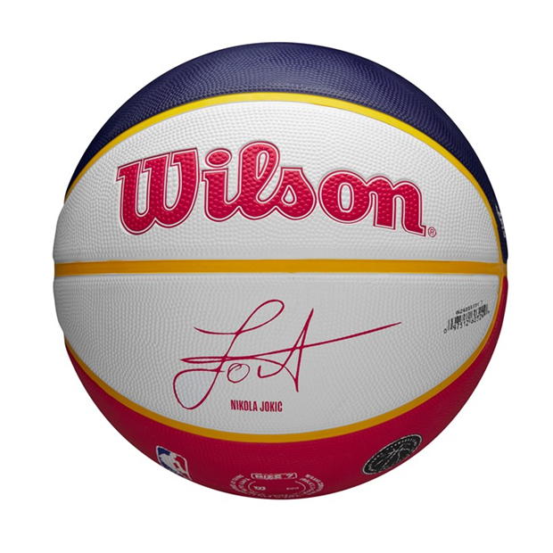 28449-wilson-nba-player-icon-basketball-adults-1.jpg