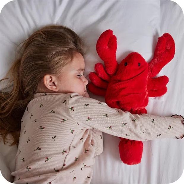 28642-warmies-heatable-lobster-1.jpg