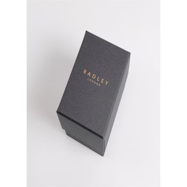 358-radley-radley-ladies-series-8-cobweb-silicone-strap-watch-1.webp