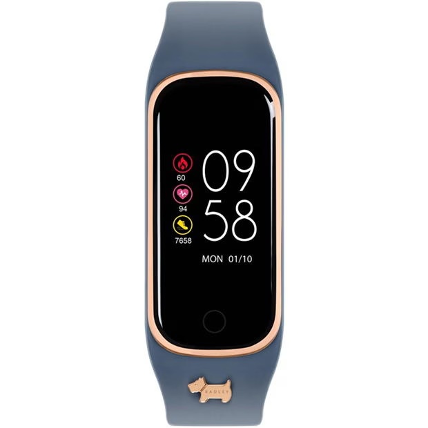 Radley Radley Ladies Series 8 Vintage Blue Silicone Strap