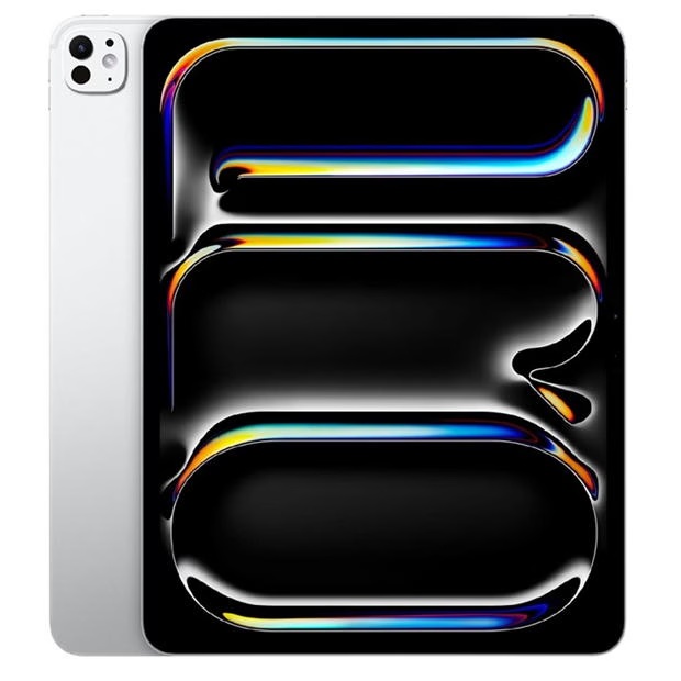 Apple Apple 13-inch iPad Pro WiFi 256GB