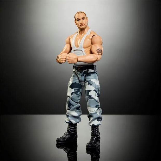 48714-wwe-elite-survivor-series-figure-bushwhacker-butch-1.jpg