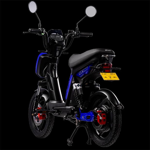 Eskuta SX-250 Classic Electric Hybrid Bike
