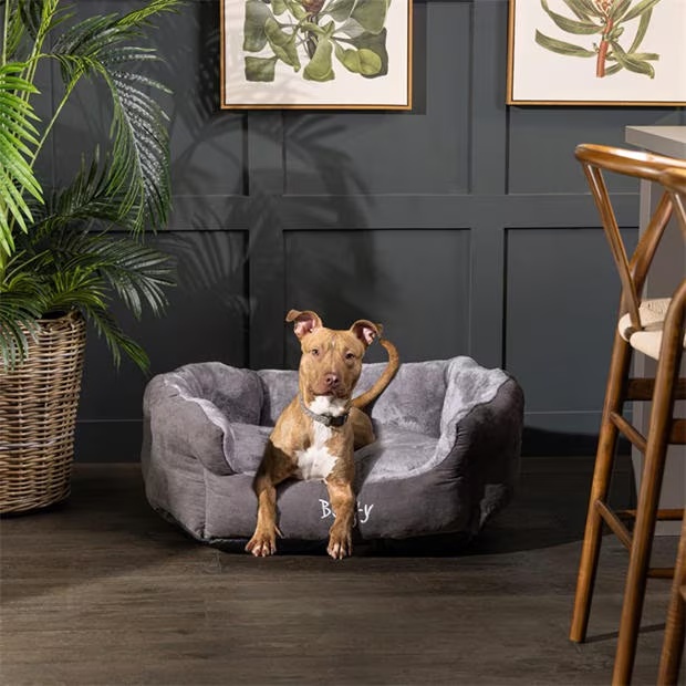Bunty Bunty Polar Dog Bed - Grey