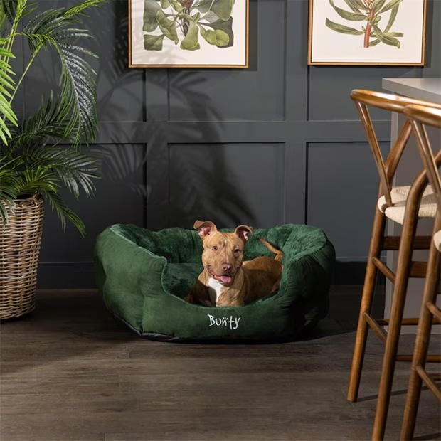 Bunty Bunty Polar Dog Bed - Green