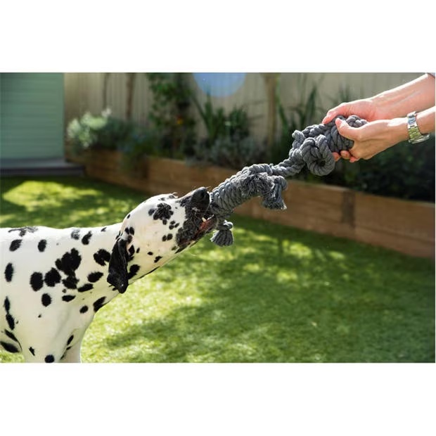 98392-henry-wag-henry-wag-pack-of-2-large-rope-buddies-1.jpg