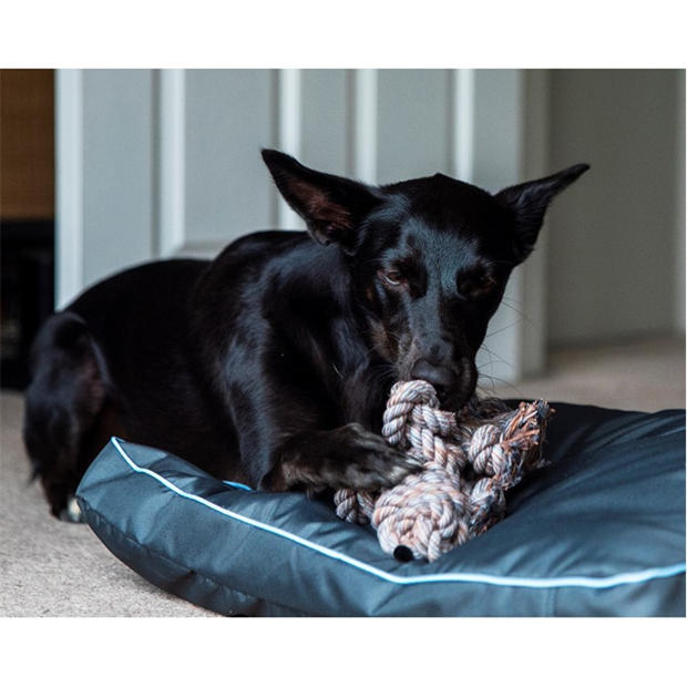 98392-henry-wag-henry-wag-pack-of-2-large-rope-buddies-1.jpg