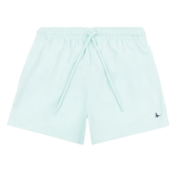 Jack Wills Swim Shorts